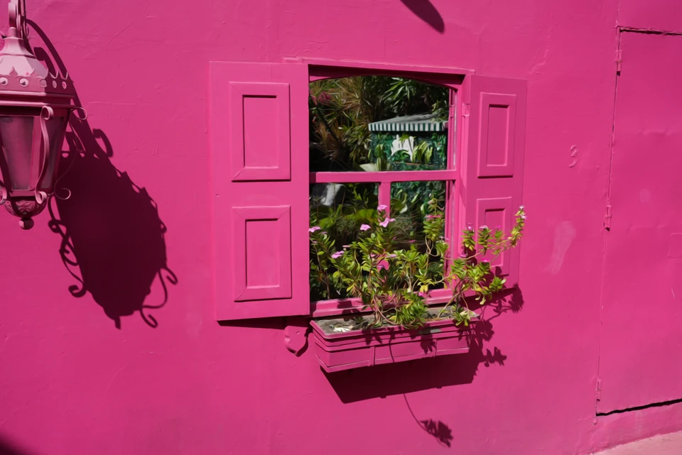Pink Shutters