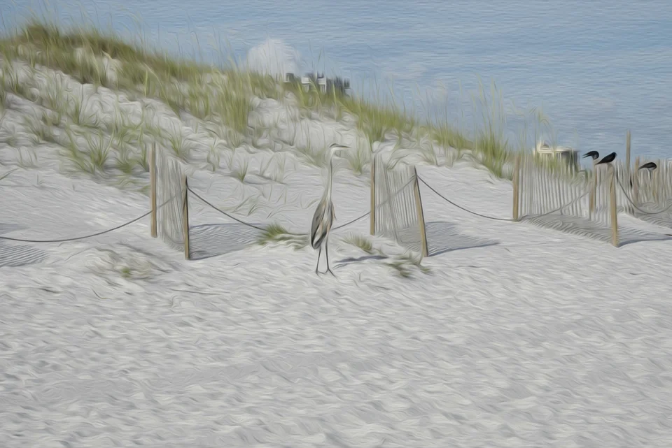 Beach Life Two